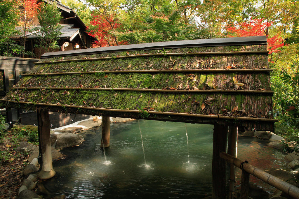 Ryokan Kono-Yu Минамиогуни Экстерьер фото